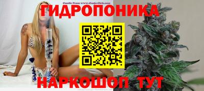 твердый Моздок